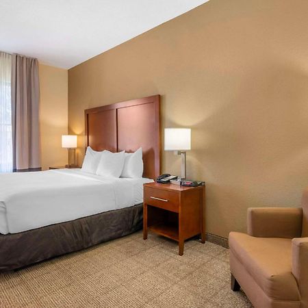 Comfort Inn & Suites Northeast - Gateway San Petersburgo Exterior foto