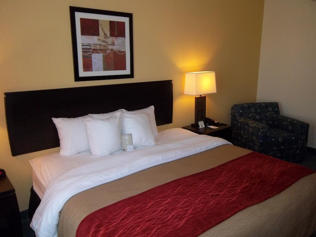 Comfort Inn & Suites Northeast - Gateway San Petersburgo Exterior foto
