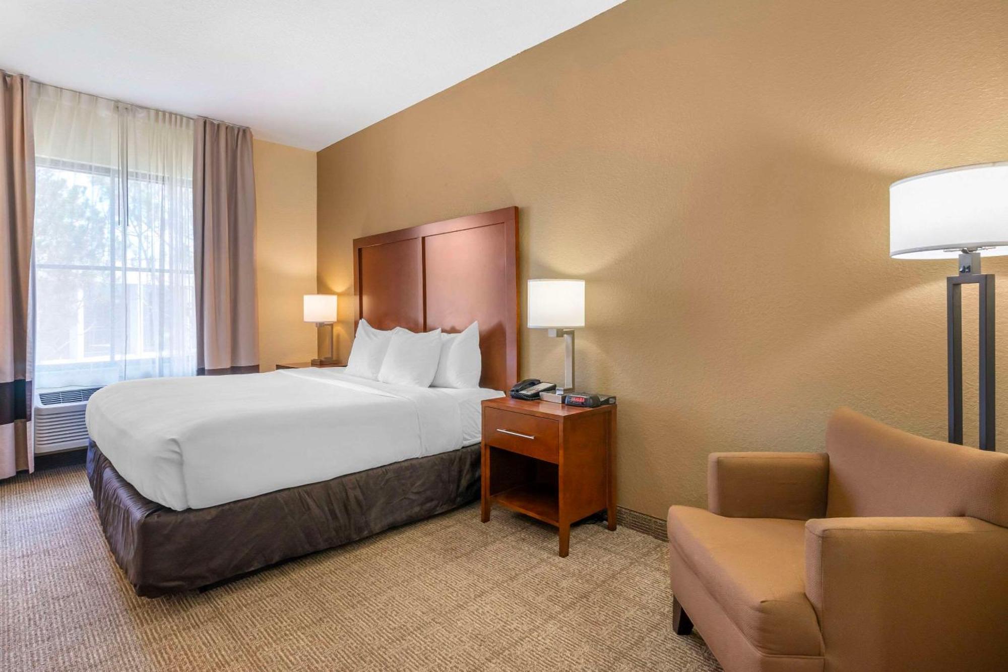 Comfort Inn & Suites Northeast - Gateway San Petersburgo Exterior foto