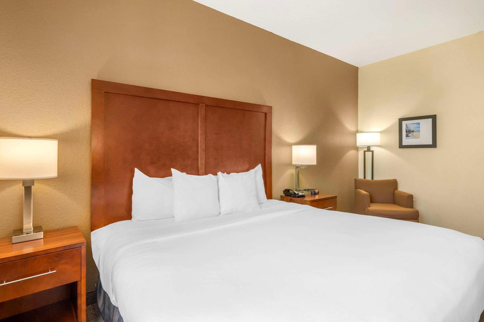 Comfort Inn & Suites Northeast - Gateway San Petersburgo Exterior foto
