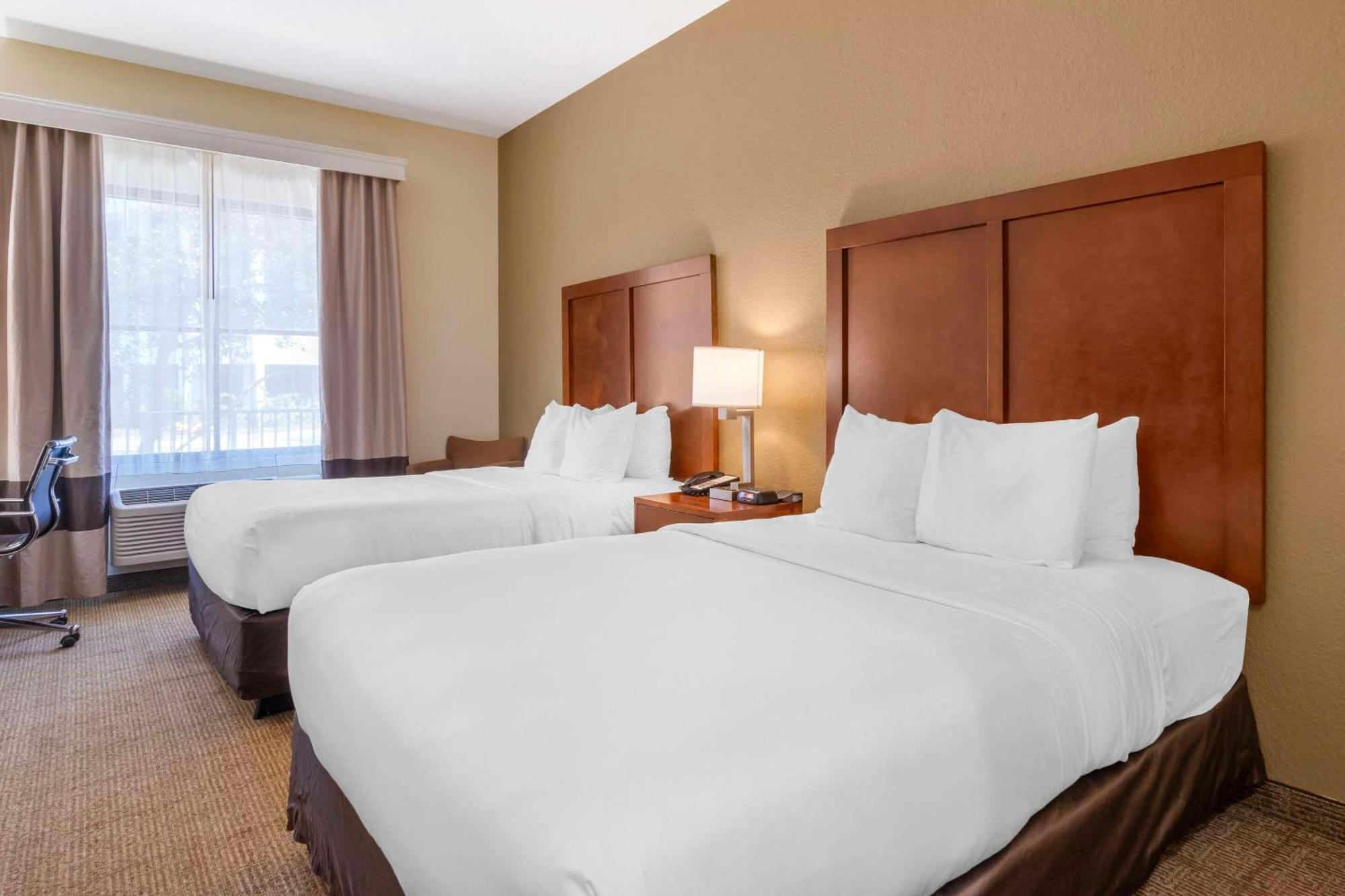 Comfort Inn & Suites Northeast - Gateway San Petersburgo Exterior foto