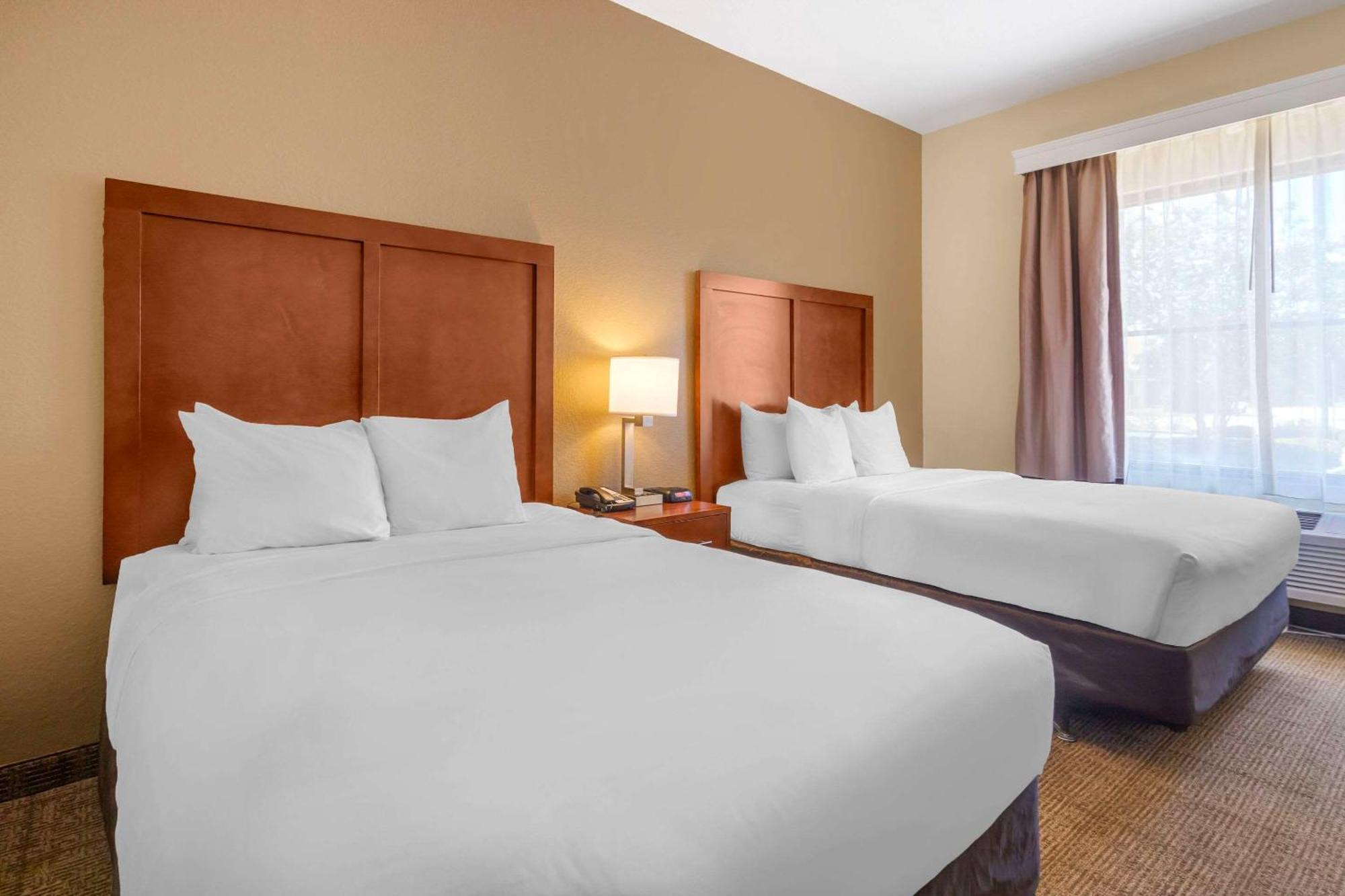 Comfort Inn & Suites Northeast - Gateway San Petersburgo Exterior foto