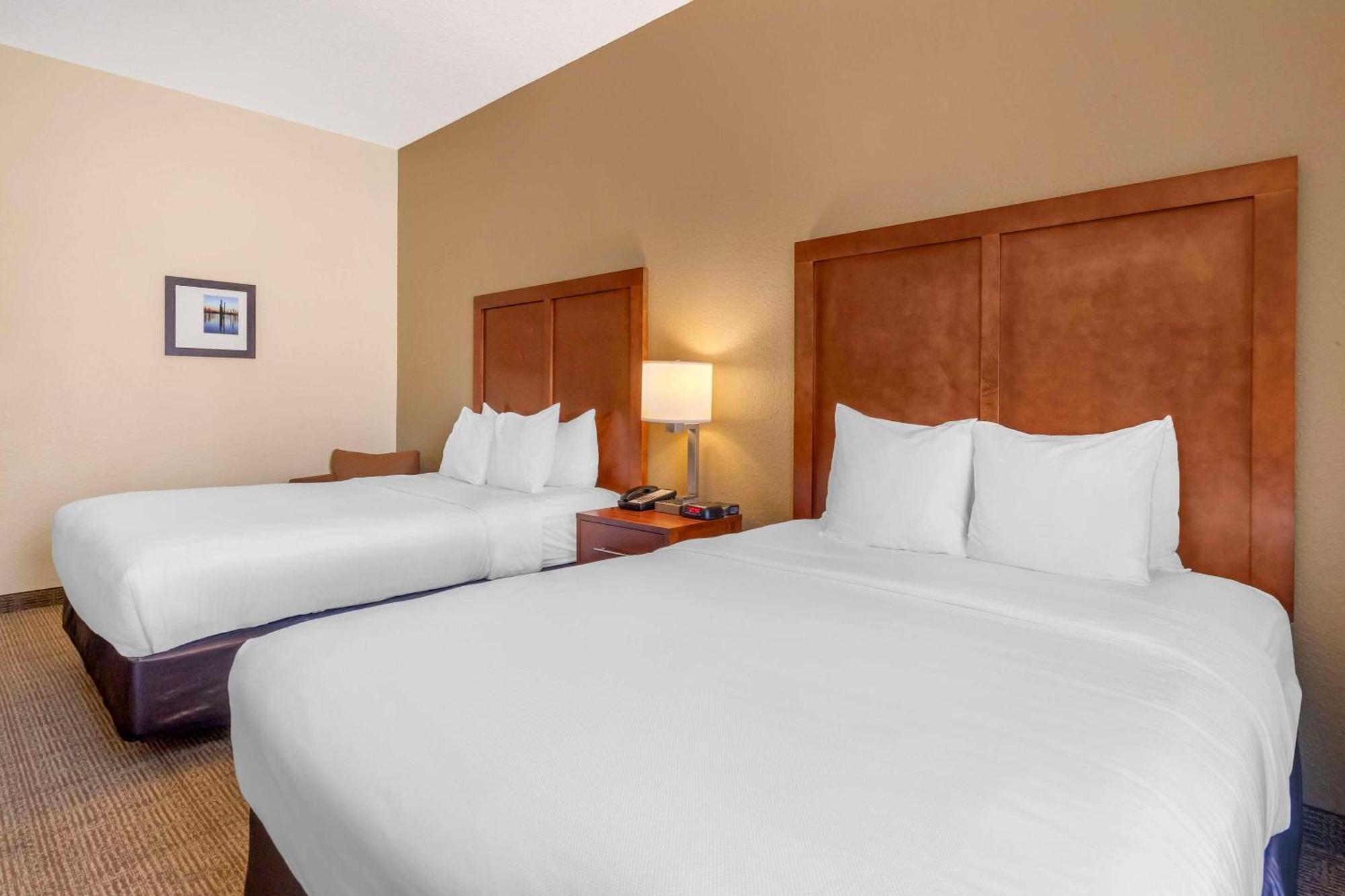 Comfort Inn & Suites Northeast - Gateway San Petersburgo Exterior foto